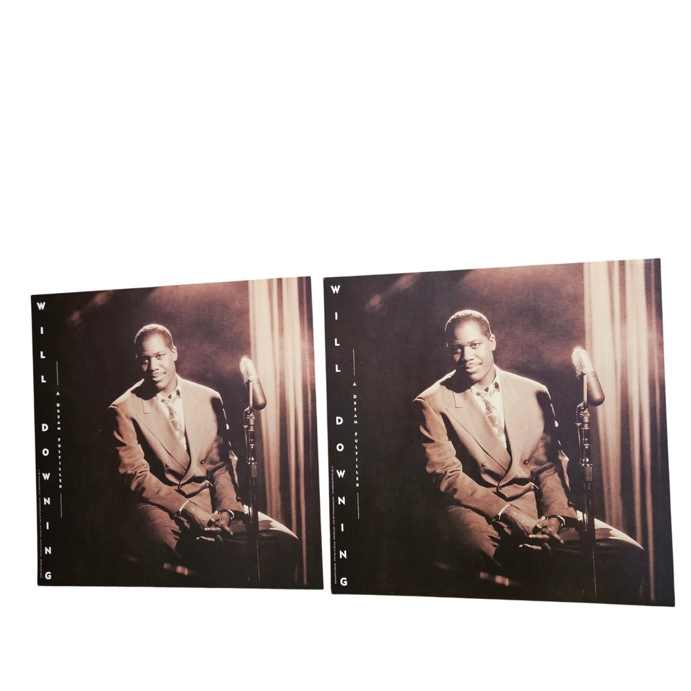 Will Downing A Dream Fulfilled 1991 Promo Flat Album Posters 12x12 Island Jazz